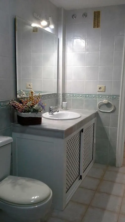 Baraca Apartment Costa Del Silencio Spain